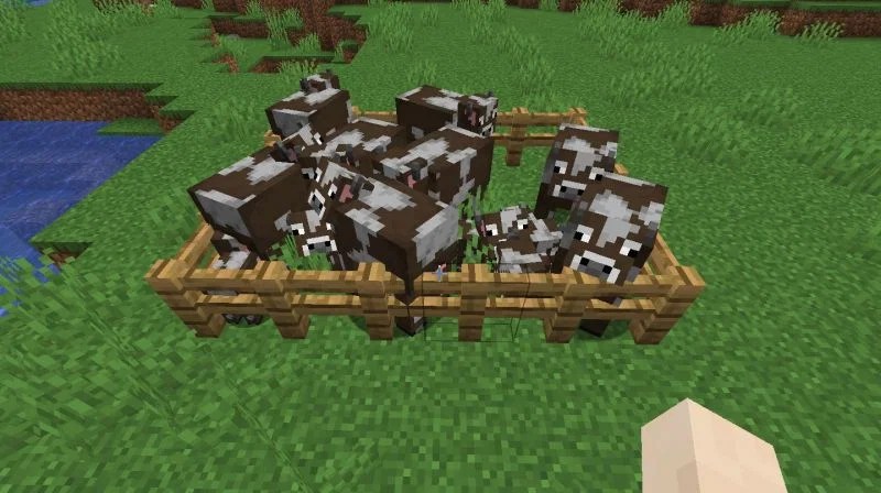 Top 5 meat farms in Minecraft