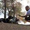 Stop Yelling! Use These Stubborn Dog Breed Training Tips That Get