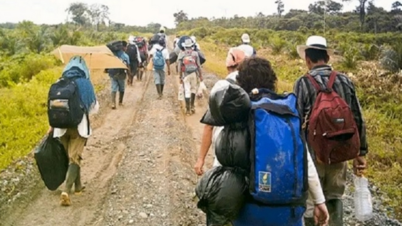¿Y la tregua? Desplazamiento masivo de familias desde Tibú hacia Cúcuta por guerra entre ELN y Disidencias farc