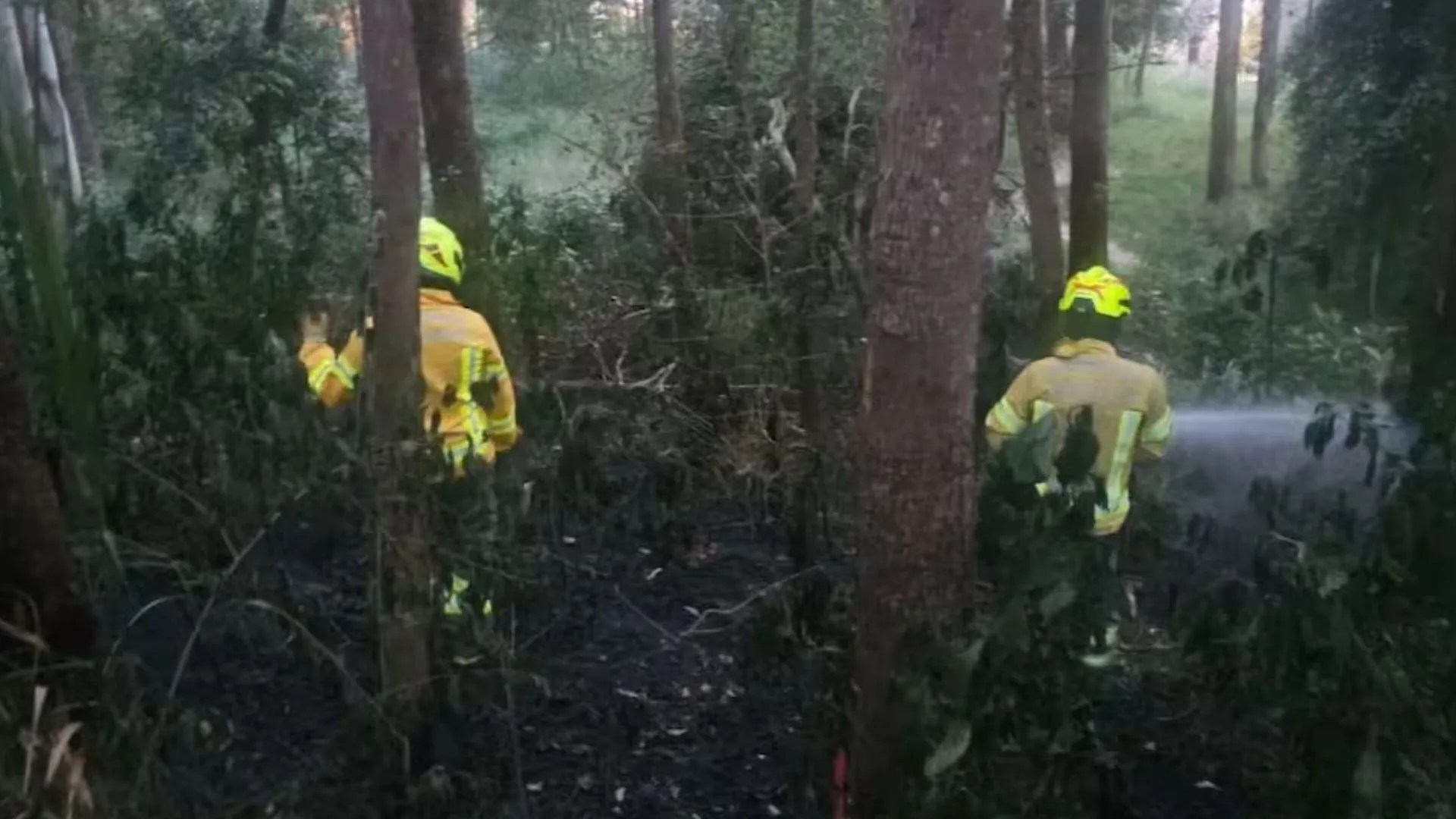 ¡El colmo! Controlan incendio en Las Palmas y pillan a un sujeto intentando reactivar las llamas ¡El colmo! Controlan incendio en Las Palmas y pillan a un sujeto intentando reactivar las llamas