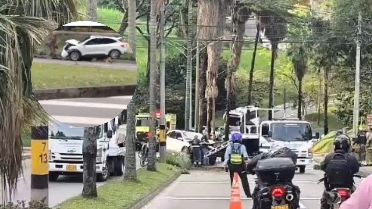 carro chocó contra una palmera