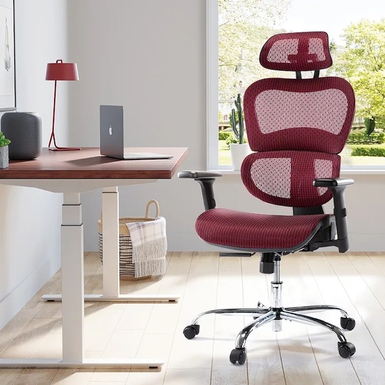 Mesh vs. Leather Office Chairs Pros & Cons Flexispot