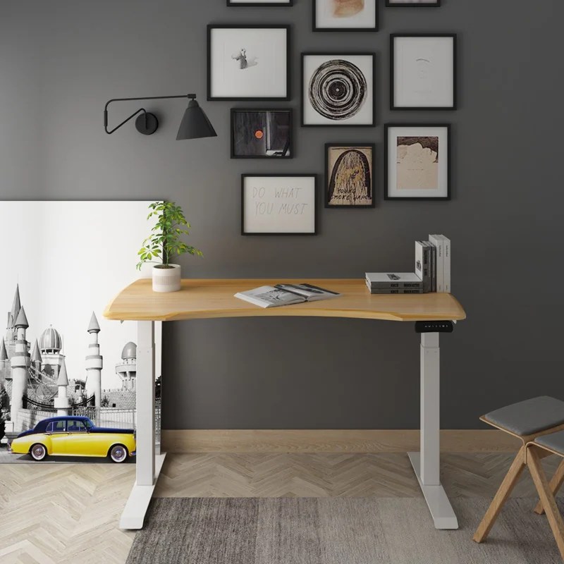 A Guide to Selecting the Best Standing Desk for Students FlexiSpot