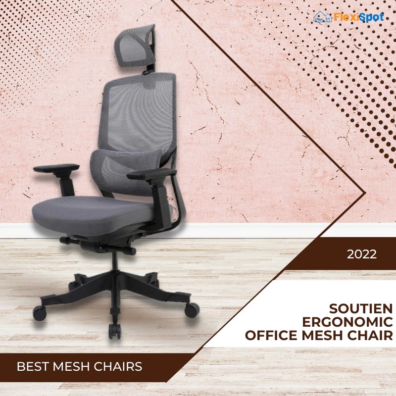 REVEALED Best FlexiSpot Office Mesh Chairs for 2022 FlexiSpot