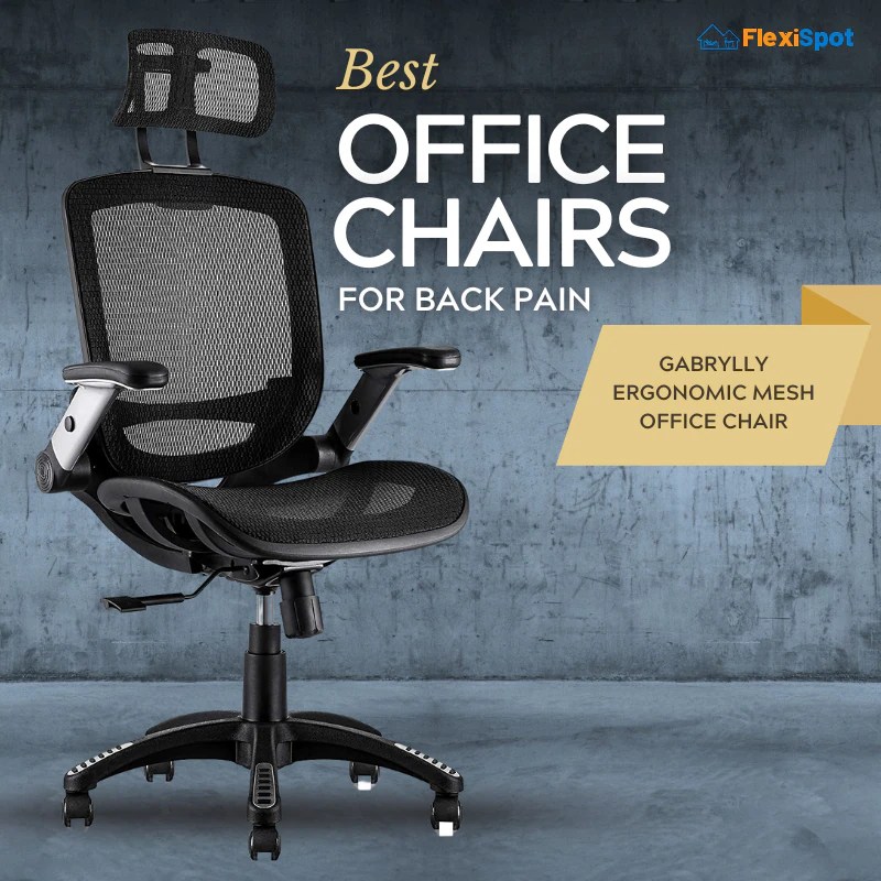 5 Best Office Chairs for Reducing Back Pain FlexiSpot