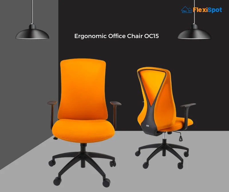 6 Most Amazing Ergonomic Massaging Office Chairs in 2022 FlexiSpot