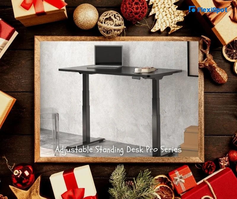 to the FlexiSpot Christmas Gift House FlexiSpot