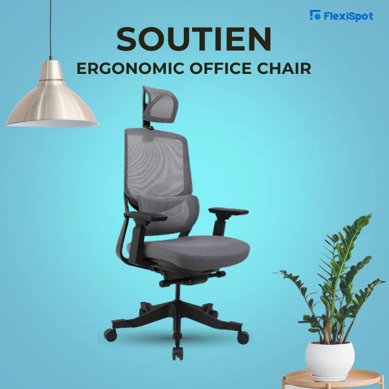 Top 10 Therapeutic Office Chairs to Relieve Back Pain in 2022 FlexiSpot