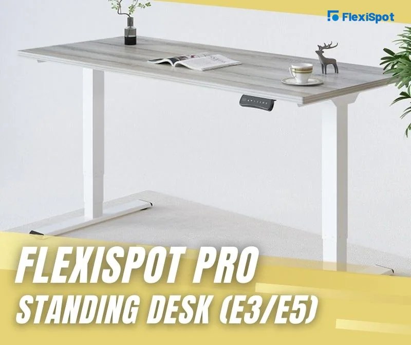 Top 10 Standing Desks for 2022 FlexiSpot