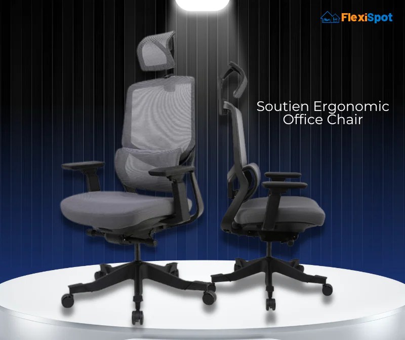 Guaranteed 5 Best Modern Ergonomic Chairs for Your Workplace or Home