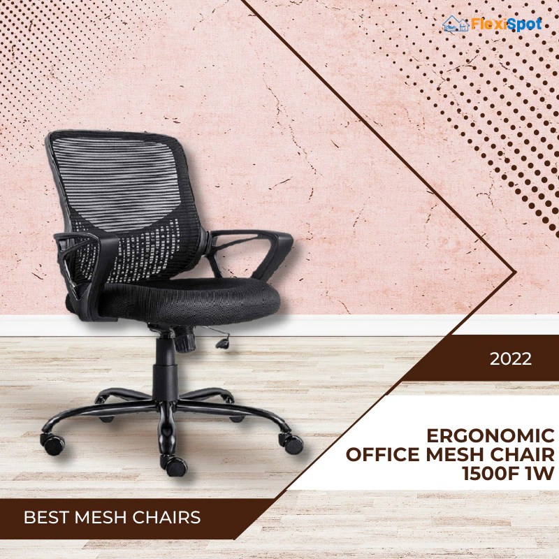 REVEALED Best FlexiSpot Office Mesh Chairs for 2022 FlexiSpot