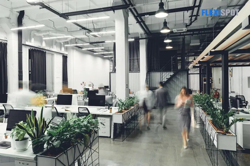 Top Office Furniture Brands in 2021 Flexispot