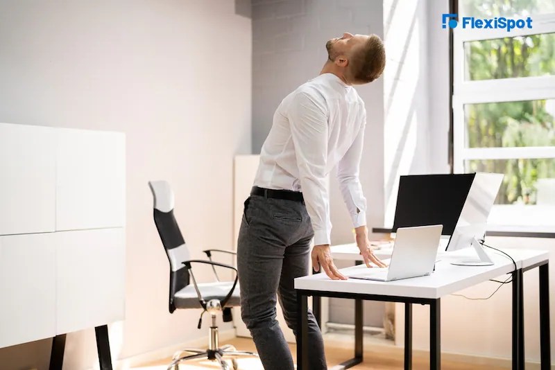 Office Workers Will Benefit From These 6 Lower Back Stretches FlexiSpot