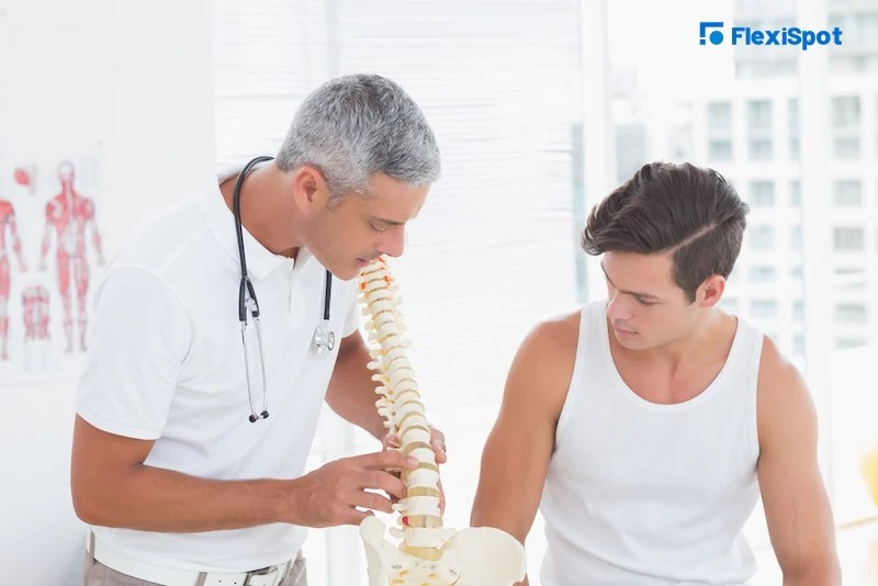 Causes of Lower Back Pain Ergonomic Chair for Back Pain FlexiSpot