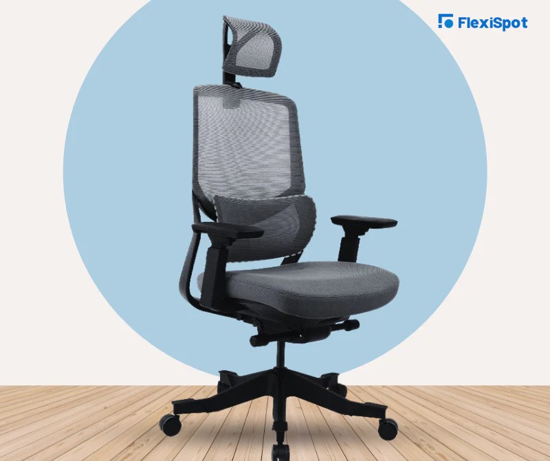 Why Better Lumbar Support is a Must for Ergonomic Office Chair FlexiSpot