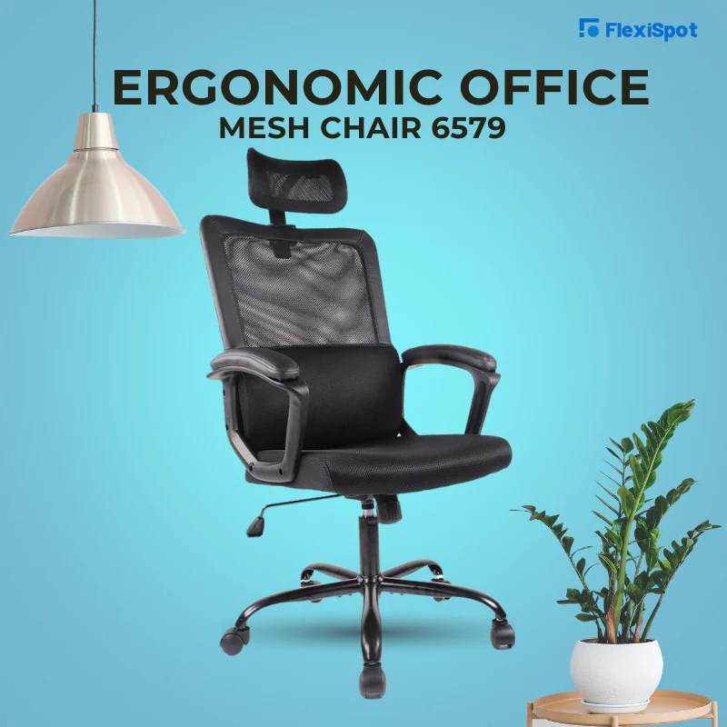 Top 10 Therapeutic Office Chairs to Relieve Back Pain in 2022 FlexiSpot