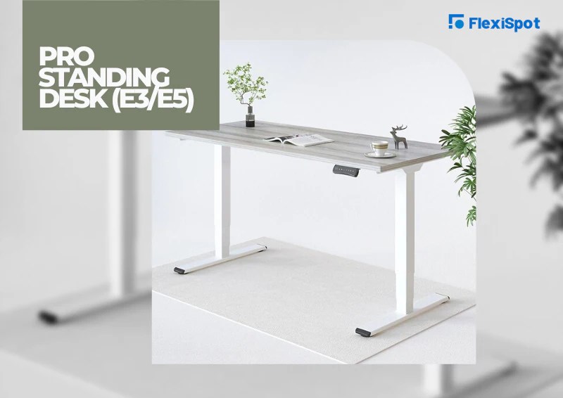 Ergonomic Pieces to Help You Achieve Your Goals FlexiSpot