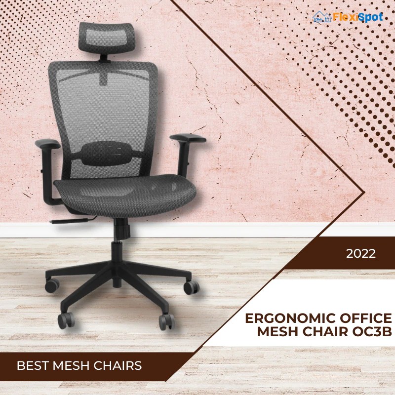 REVEALED Best FlexiSpot Office Mesh Chairs for 2022 FlexiSpot