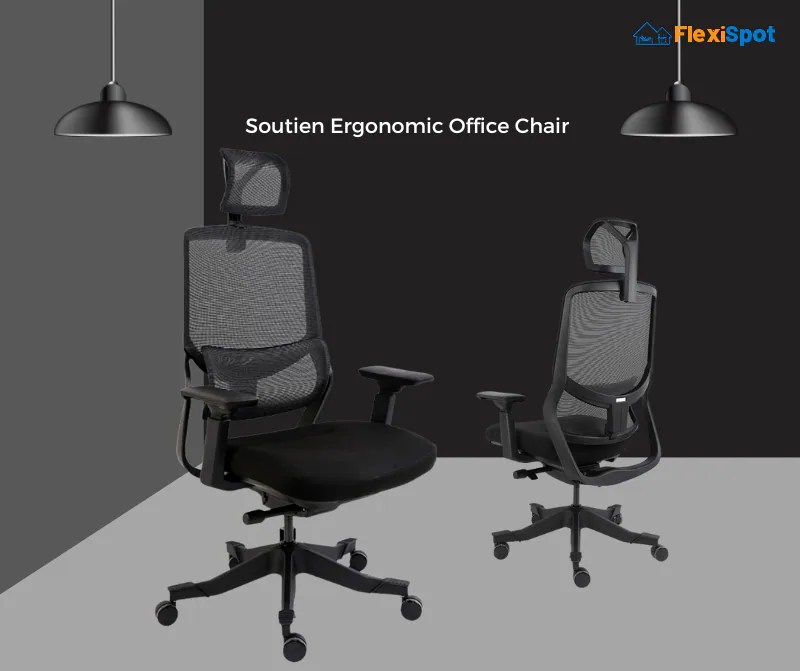 6 Most Amazing Ergonomic Massaging Office Chairs in 2022 FlexiSpot