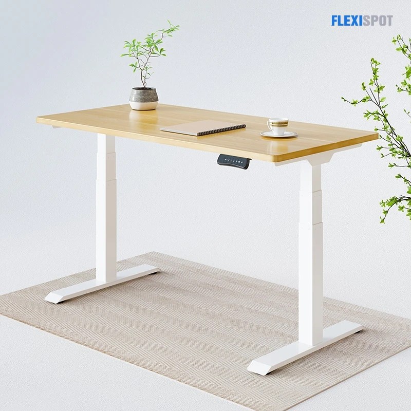 The Best Adjustable Standing Desk for Your Home or Workplace FlexiSpot