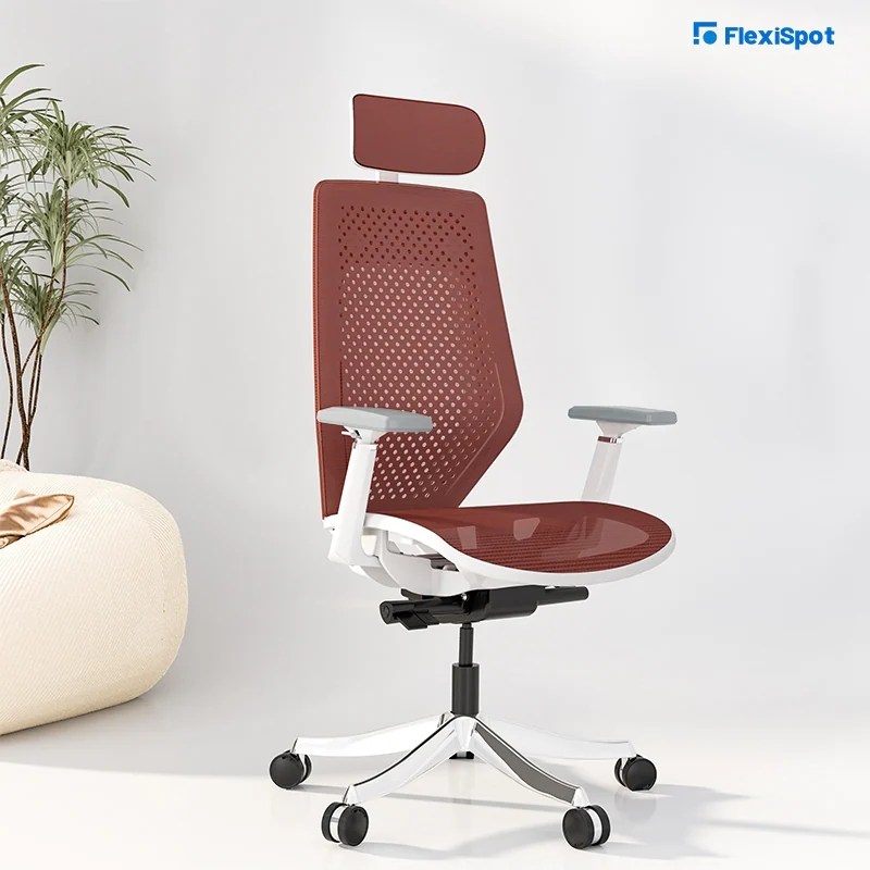 the new FlexiSpot ergonomic office chair pro has just hit the market