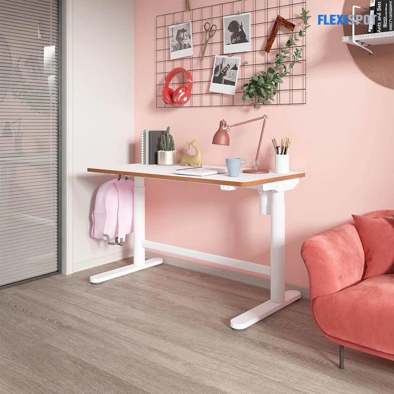 An Ergonomic Study Space for Kids Flexispot