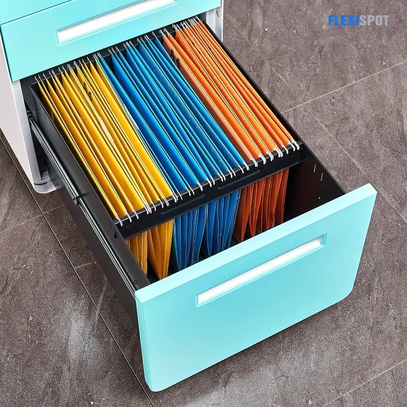 Filing and How to Organize Them FlexiSpot