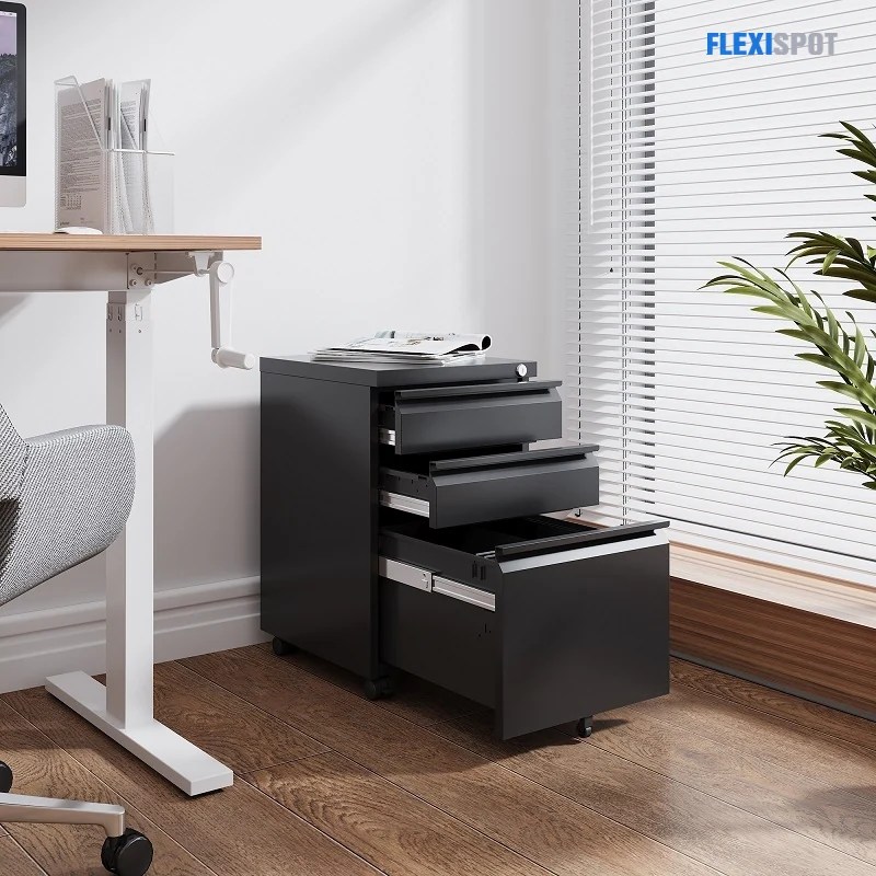 How to Make the Most Out of Your Filing FlexiSpot