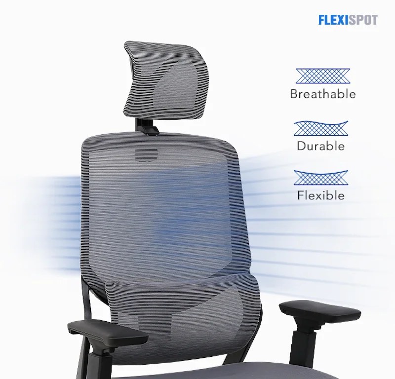 Top Rated Ergonomic Office Chair Designs 6 picks for 2021 FlexiSpot