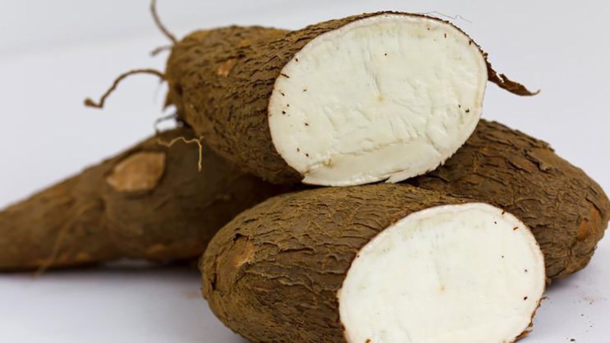 ¿Qué propiedades tiene la yuca? CuidatePlus