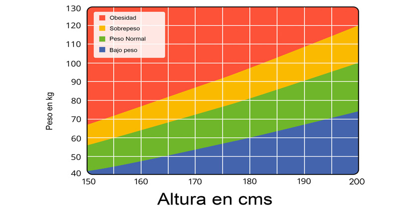 Índice de Masa Corporal (IMC) ¿Qué es? ¿Cómo se calcula?