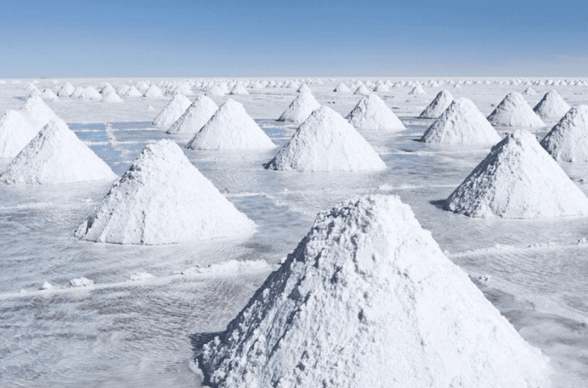 Litio en Argentina hay que saber aprovechar el momento El Economista