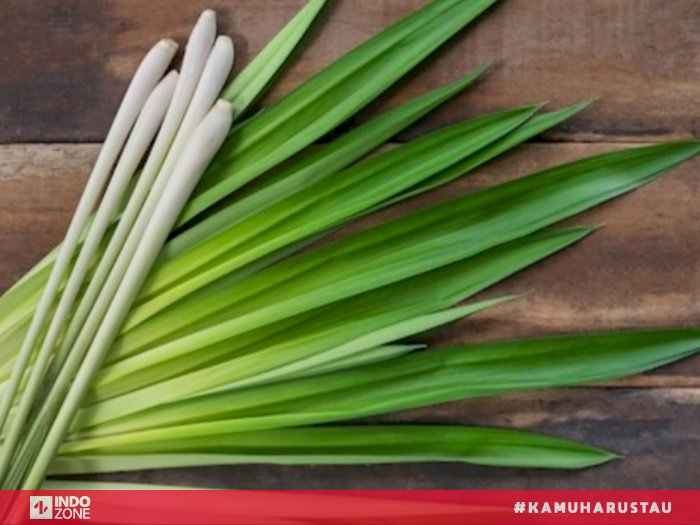 daun Sereh