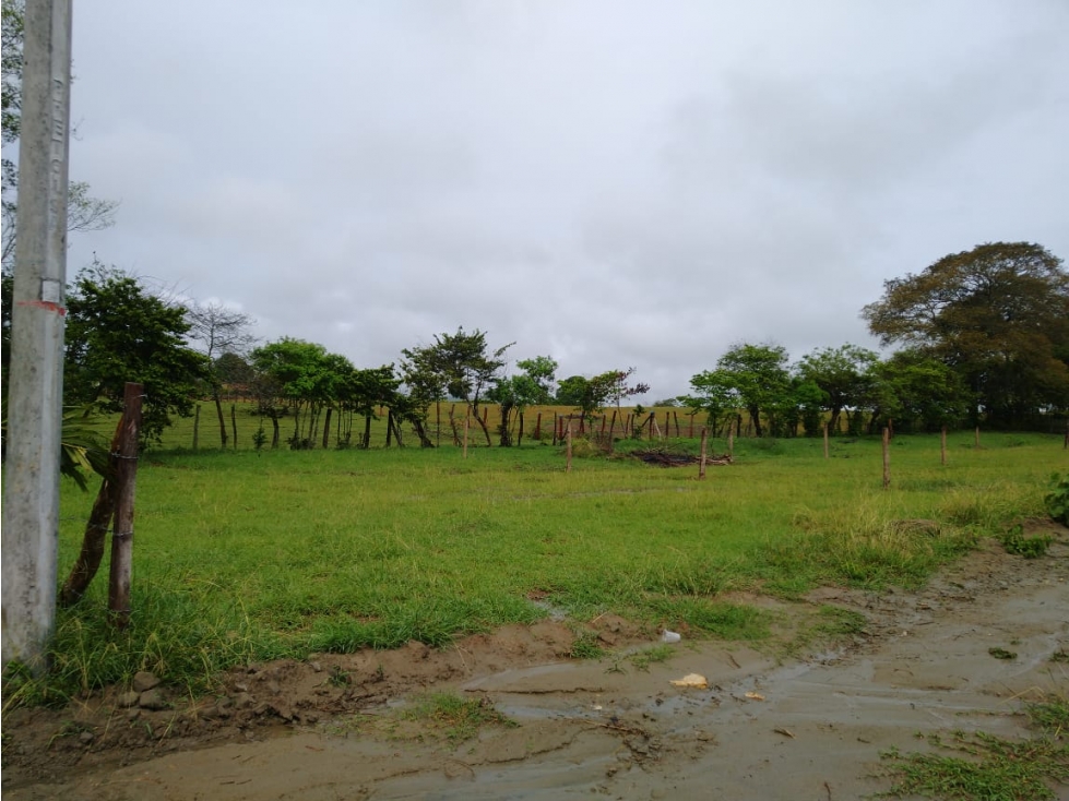 LOTE EN VENTA / CHIMBI CARMEN DE APICALA 30.000.000 COP