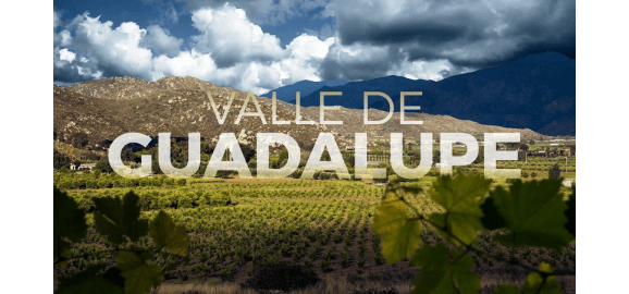 Valle de Guadalupe Information