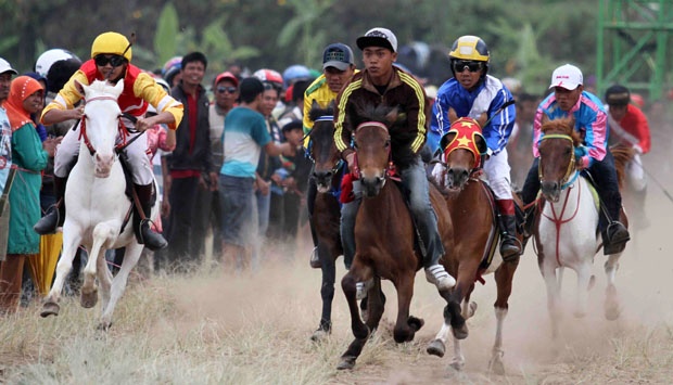 Serunya Pacuan Kuda Tradisional Di Pasuruan - Foto Tempo.co