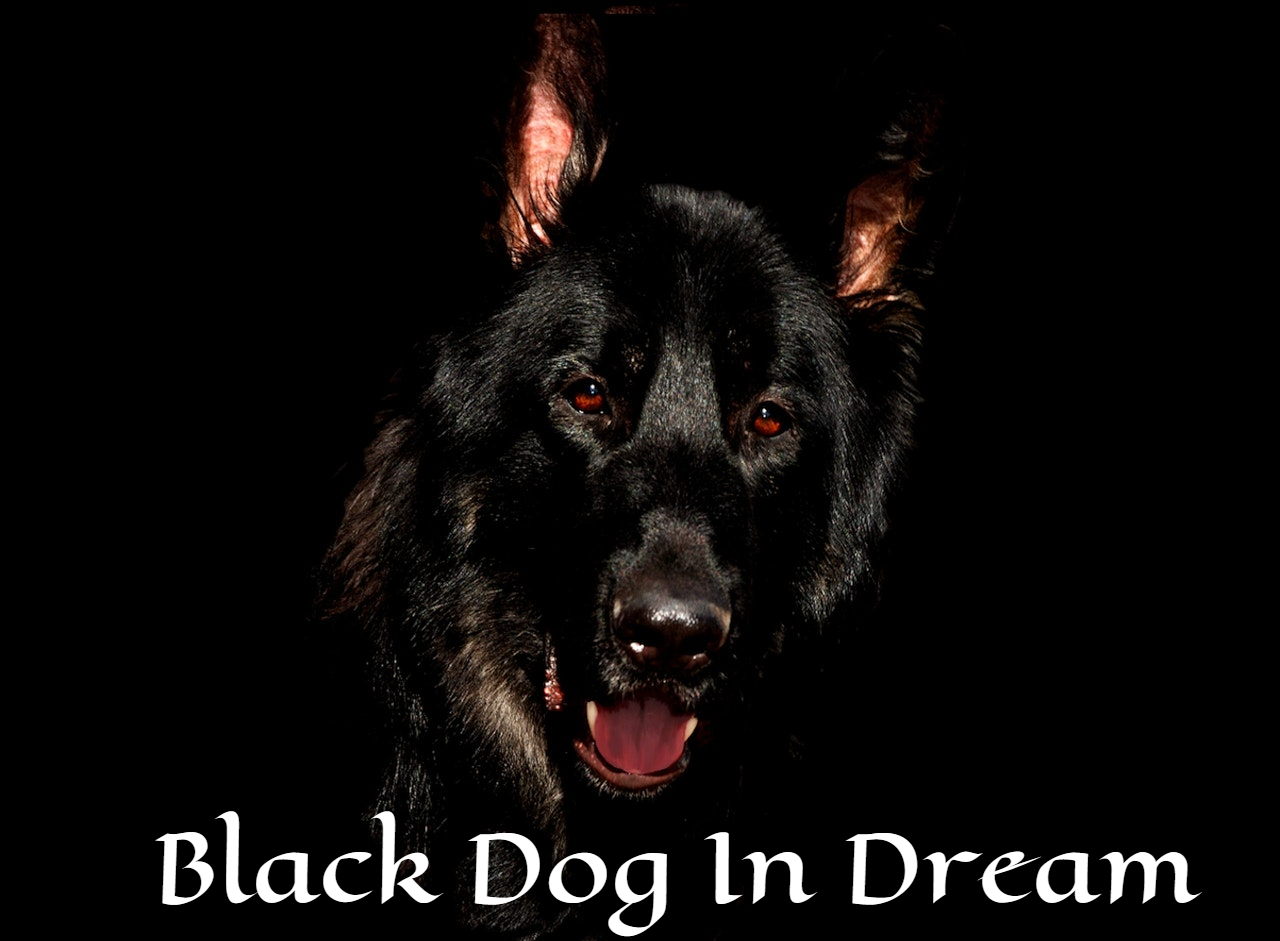 Black Dog In Dream Meaning A Challenge For You To Control Your Desires