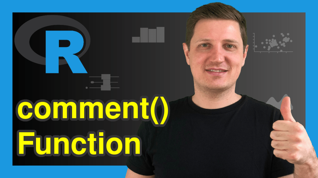comment Function in R (Example) Query or Set Attribute to Data Object