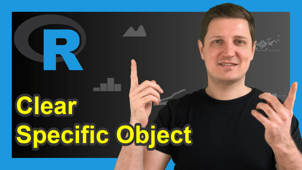 Clear Data Object from Workspace in R rm & remove Functions