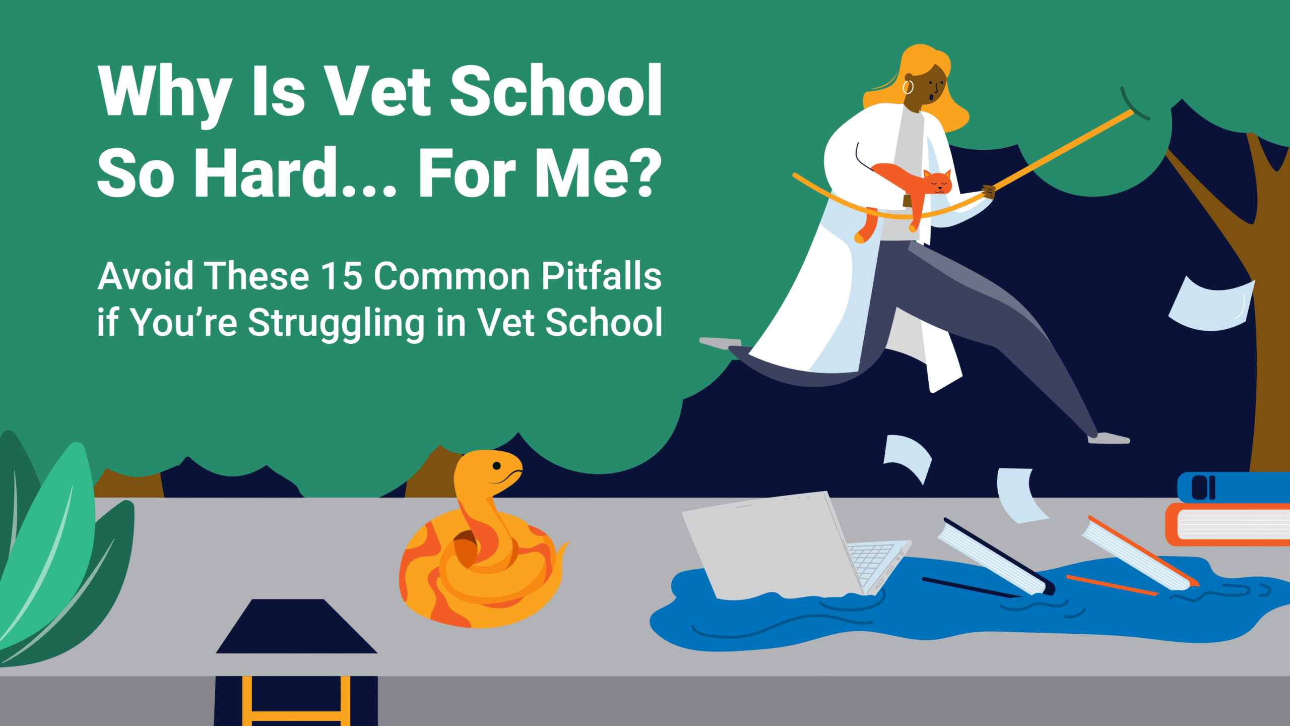 Why Is Vet School So Hard... For Me? STATMed Learning