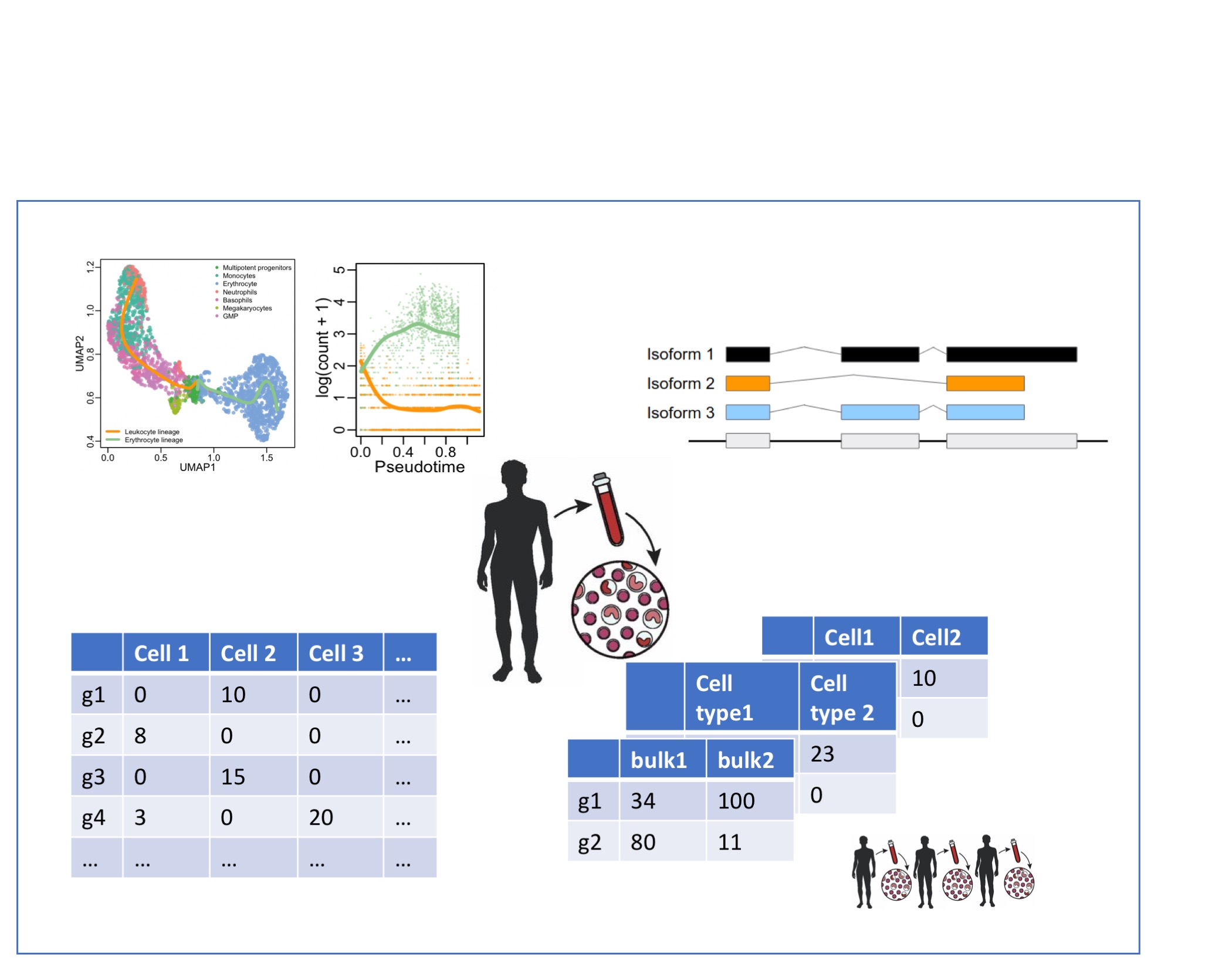 High Dimensional Data Analysis 2020 (HDA2020)