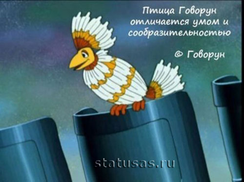 Крылатые фразы из любимых мультфильмов