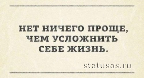 Прикольные статусы фразы в картинках для хорошего настроения