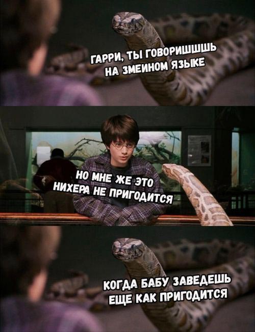 Прикольные, смешные надписи Статусы и цитаты на все случаи