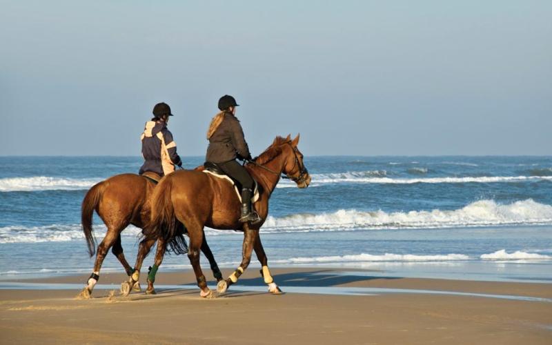 Horseback Riding Crete, Crete horse riding on the beach, Crete Horses