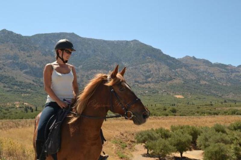 Crete horse riding, Horseback Riding in Crete, Evening, Horse on Crete