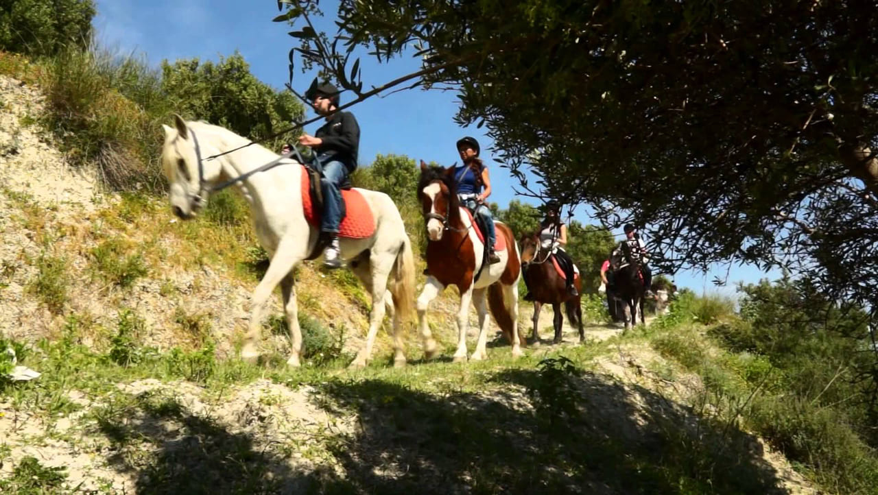 Crete horse riding, horseback riding on Crete, Morning