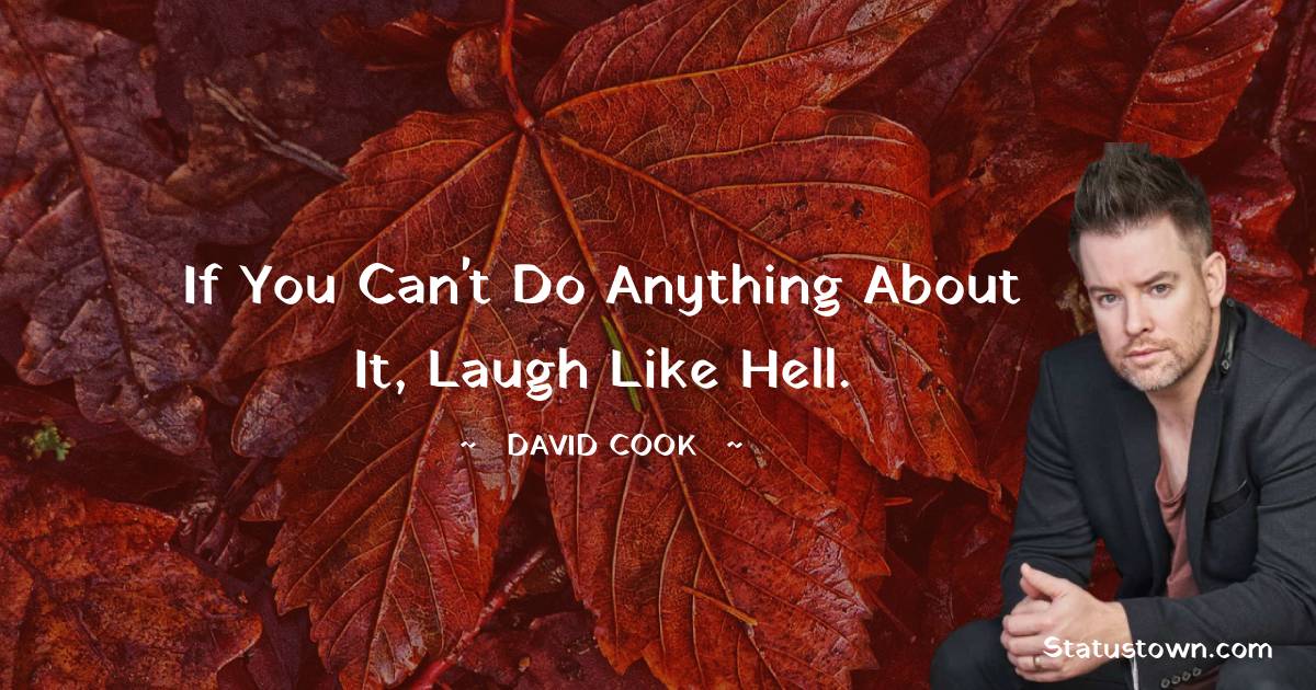 20+ Best David Cook Quotes