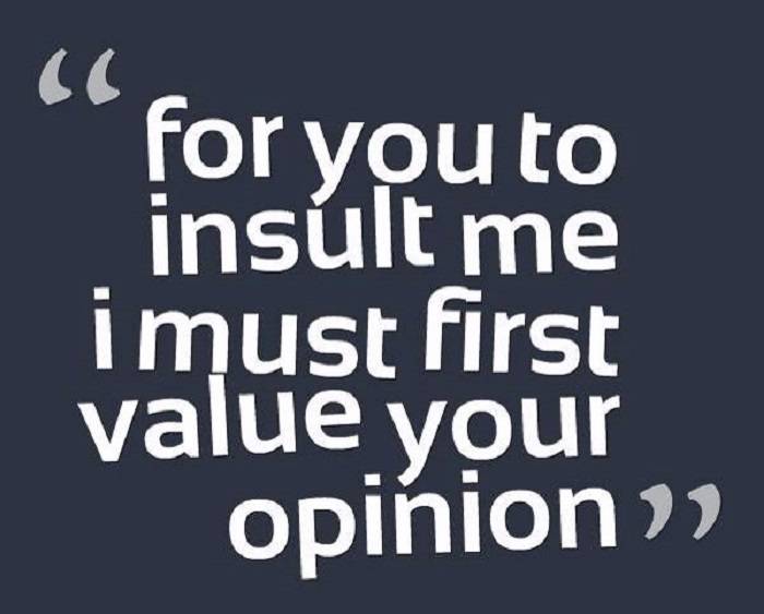 294+ Insult Status, Saying & Quotes For The One You Want To Insult