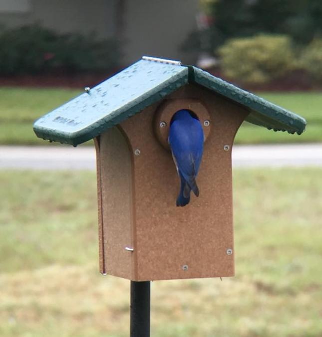 Wild Birds Unlimited Nature Shop